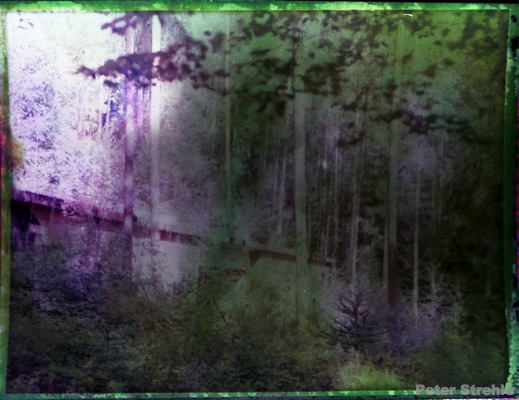 Ausstellung Page 57 Pirckheimer Gesellschaft