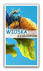 Wioska szablonów :)