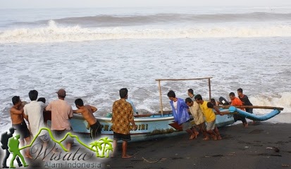 Pantai Trisik