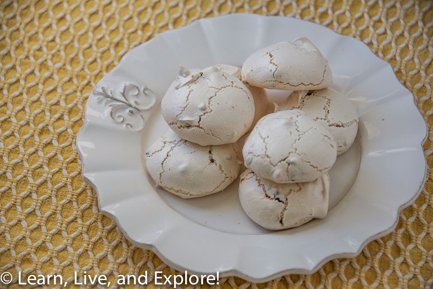 Mini Chocolate Chip Meringue Cookies Learn, Live, and Explore!