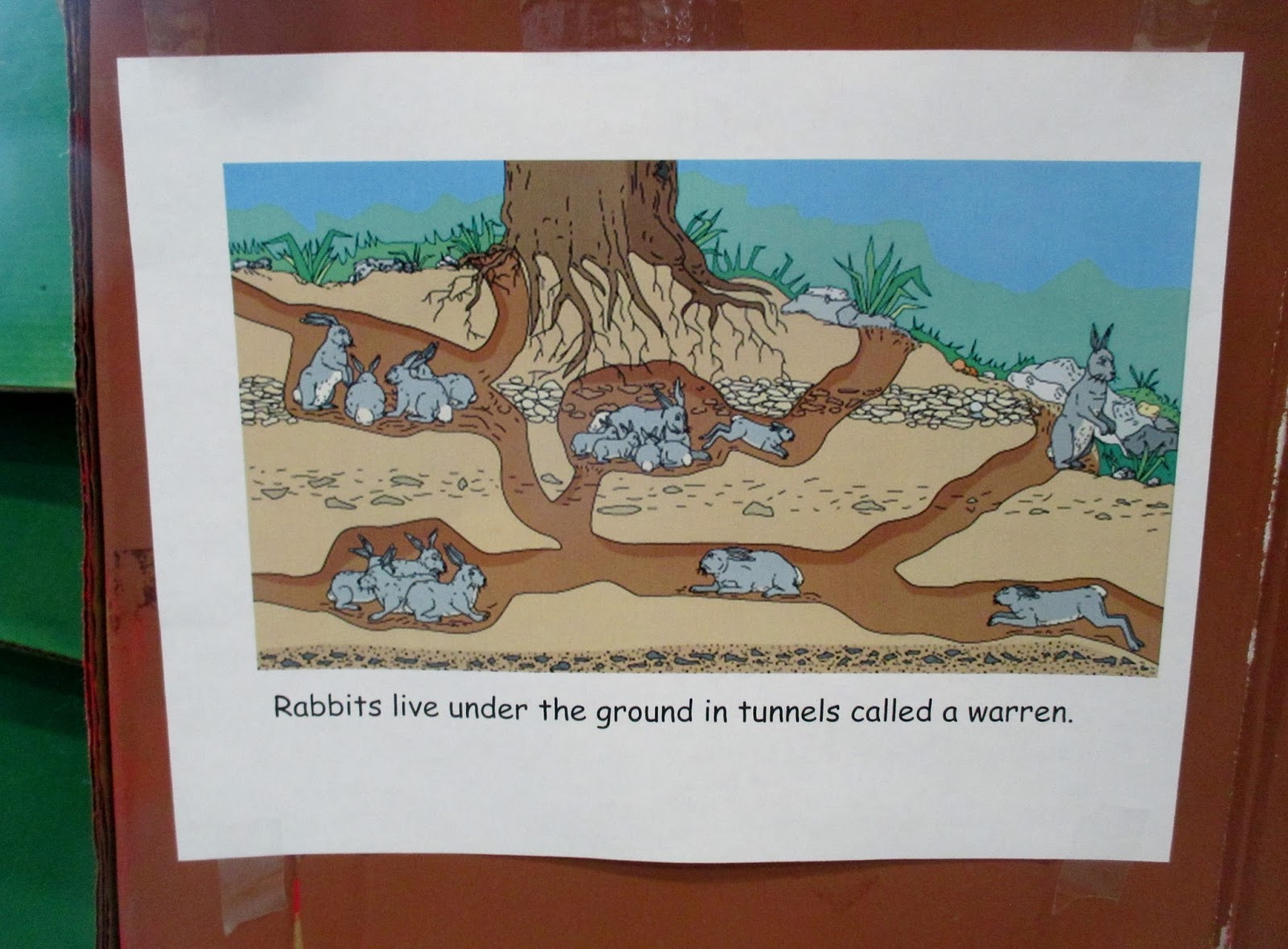 StrongStart Our Rabbit Warren