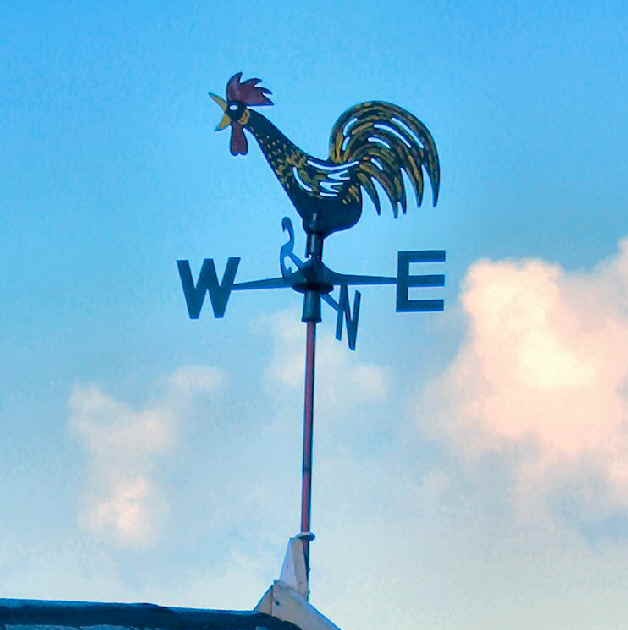 Mark's Musings Weather Vane