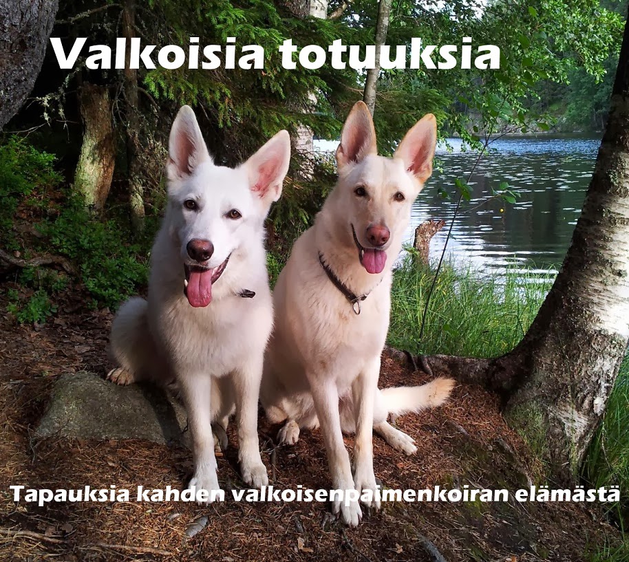 Valkoisia totuuksia