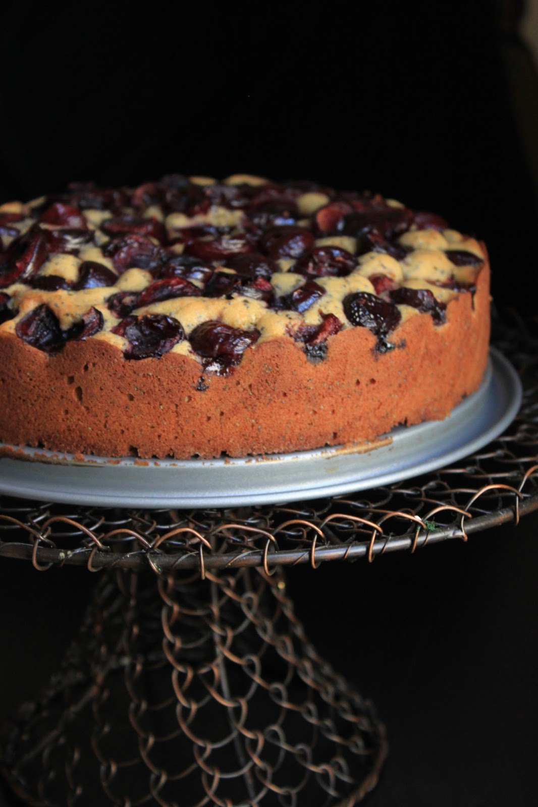 Life's Too Short to Skip Dessert Cherry Poppy Seed Cake