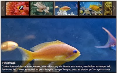 Best Plugin Create Slideshow For WordPress 13 Best Plugin Create Slideshow For WordPress 13