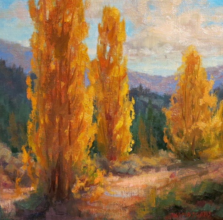 A Painting A Day by Laura Wambsgans "Golden Poplar Trees"