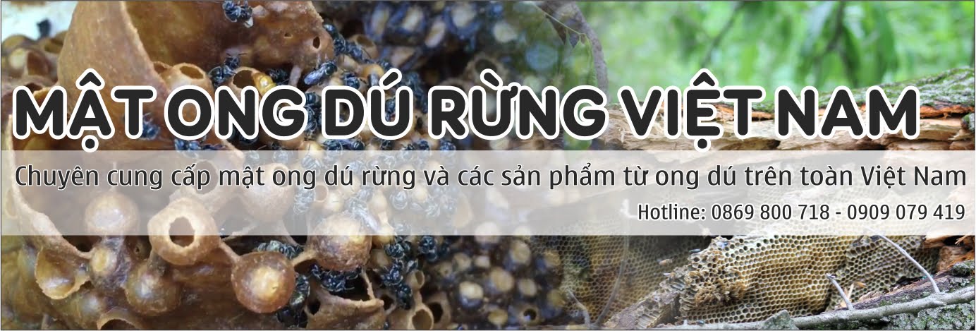 Mật ong dú rừng Việt Nam