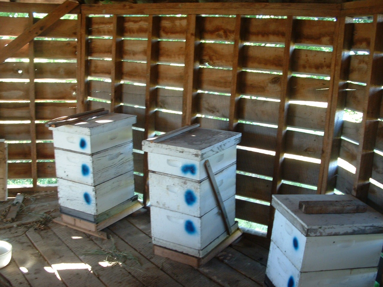 Ohio Microfarm The Bee Barn A European style apiary
