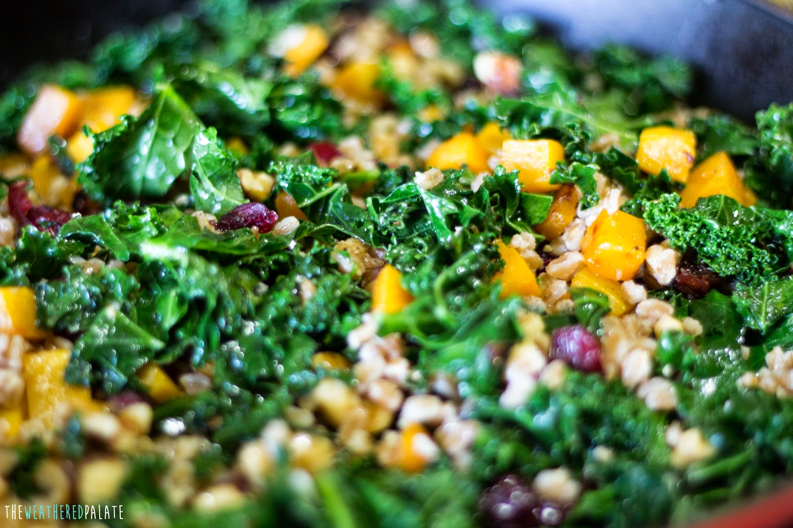 Butternut Squash and Farro Salad with Kale The Weathered Palate