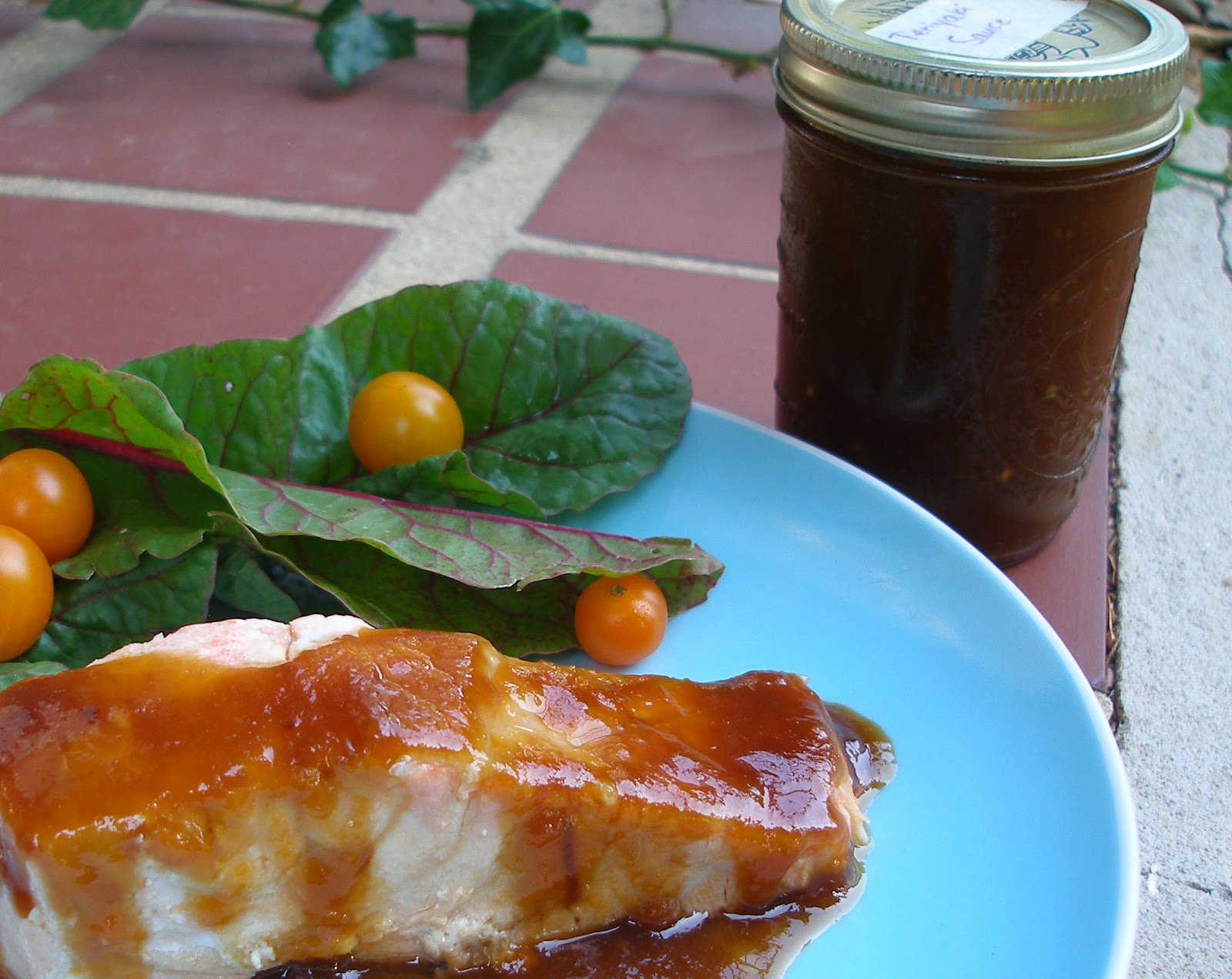 Fabulous Cavewoman Paleo Teriyaki Sauce