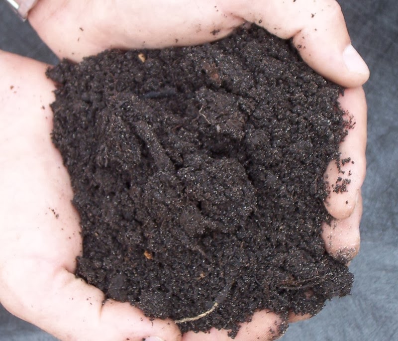 Peaty Peaty soils are acidic and as a result, does not support