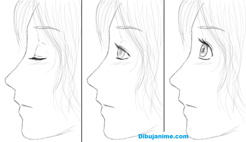 Como dibujar ojos anime femeninos paso a paso – Detalles frontal y perfil –  Dibujanime!