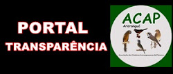 Portal Transparência