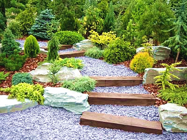 Expressive Rock Garden Ideas