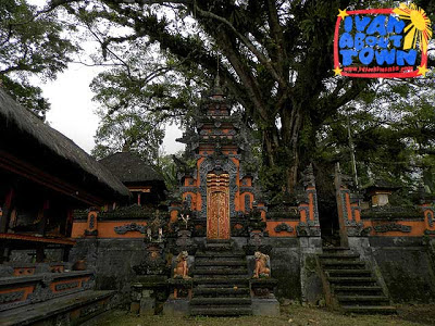 Bali Rice Terraces Indonesia Jatiluwih