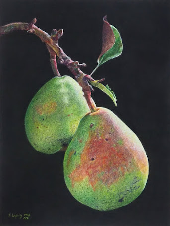 Pair of Pears