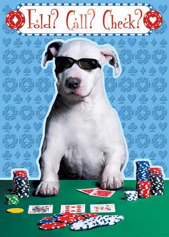 pit bull poet laureate 2012