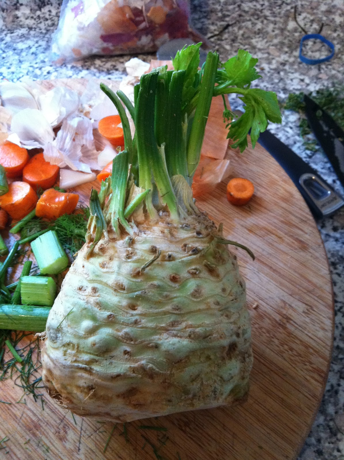 The Curried Cook Rich Dark Chicken Stock