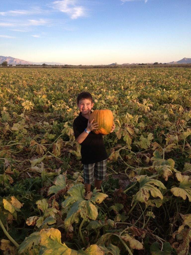 Arizona Families Marana Pumpkin Patch Full of Family Fun