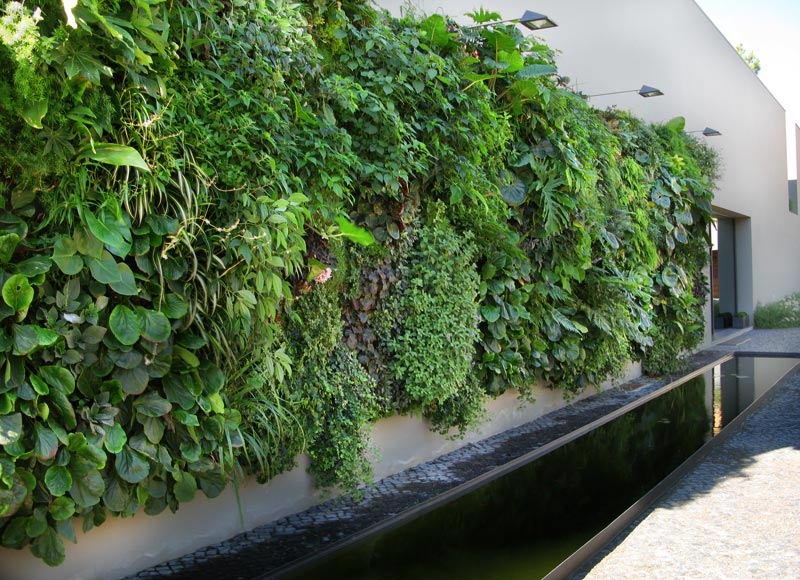 vertical garden modern design by moderndesign org vertical garden modern design by moderndesign org