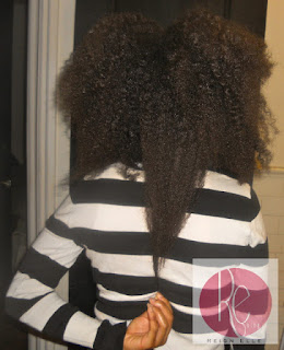 Winter Natural Hair Challenge Reignelle Edition Who S In