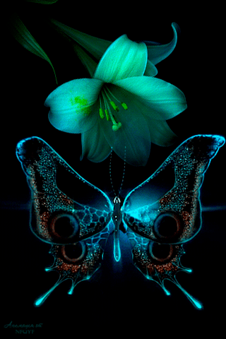 Flor y Mariposa