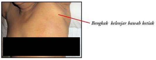 B Harian January 2013