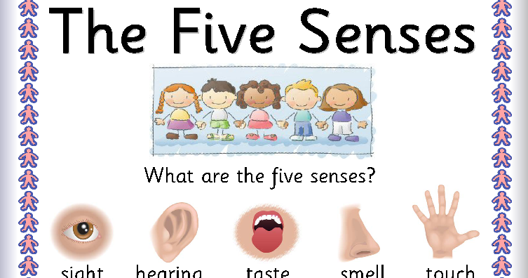 FIRST GRADE ANDERSEN. : GAME ABOUT THE FIVE SENSES