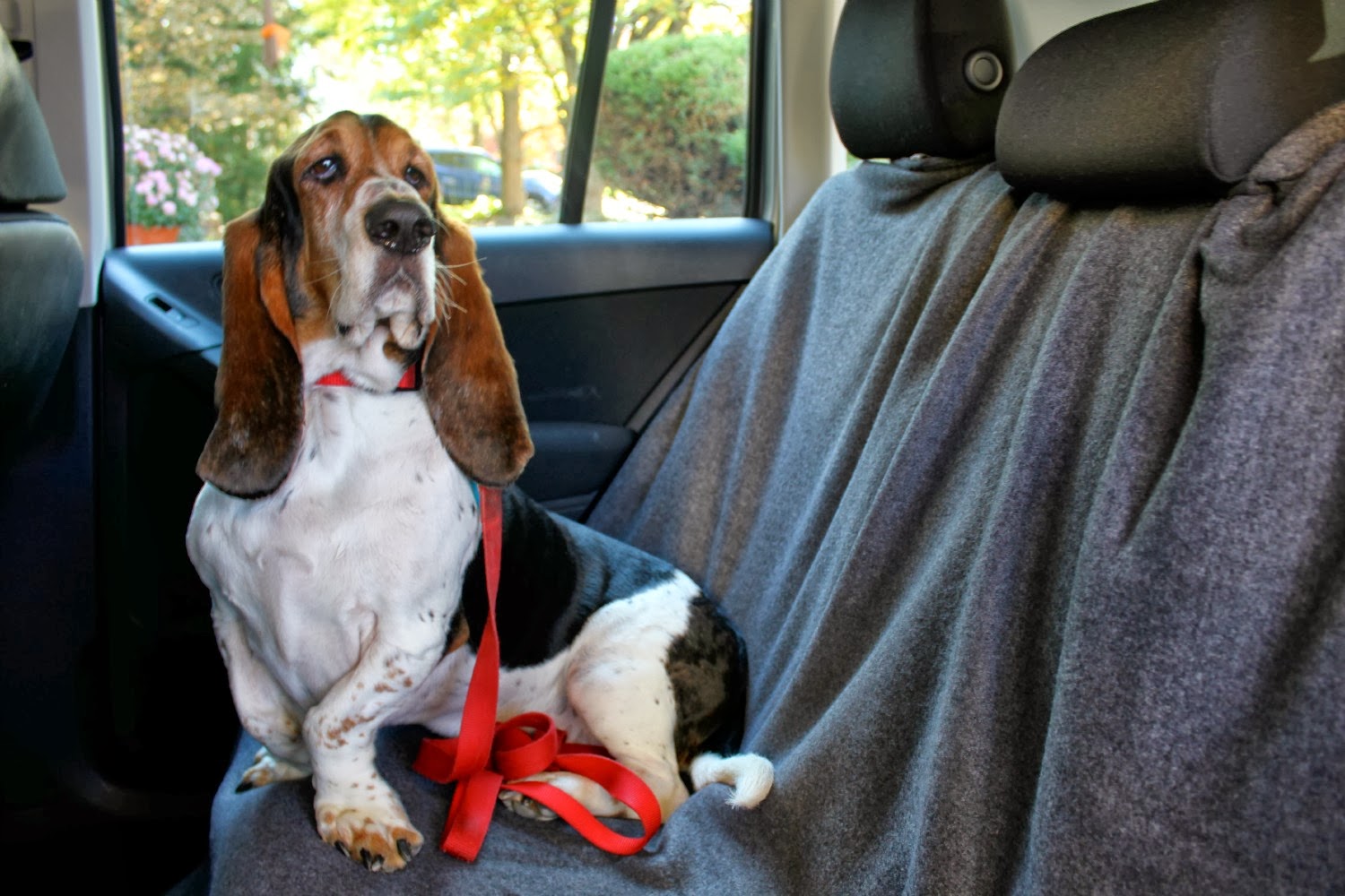 Total Basset Case DIY Dog Car Seat Cover