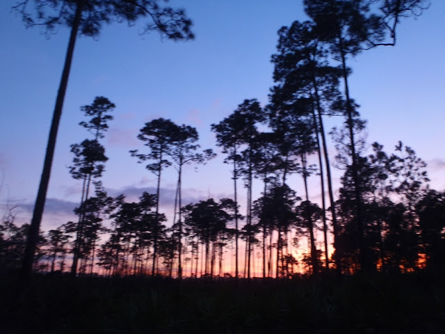 sunset at faver-dykes state park in florida by DearMissMermaid.Com