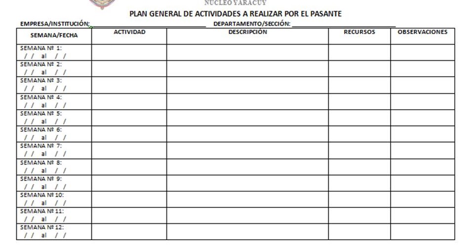formatos de cronogramas de actividades