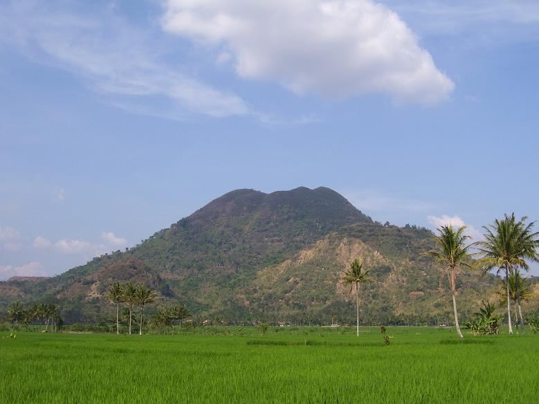 SEJARAH DAN SILSILAH: SILSILAH EYANG HASYIM DAN SYEKH WALI JA`FAR SIDIQ