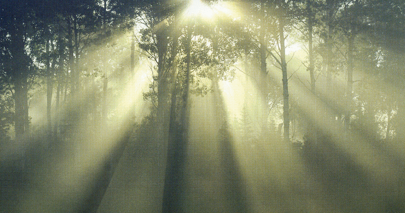 Misty Dreams, Unknown Realms