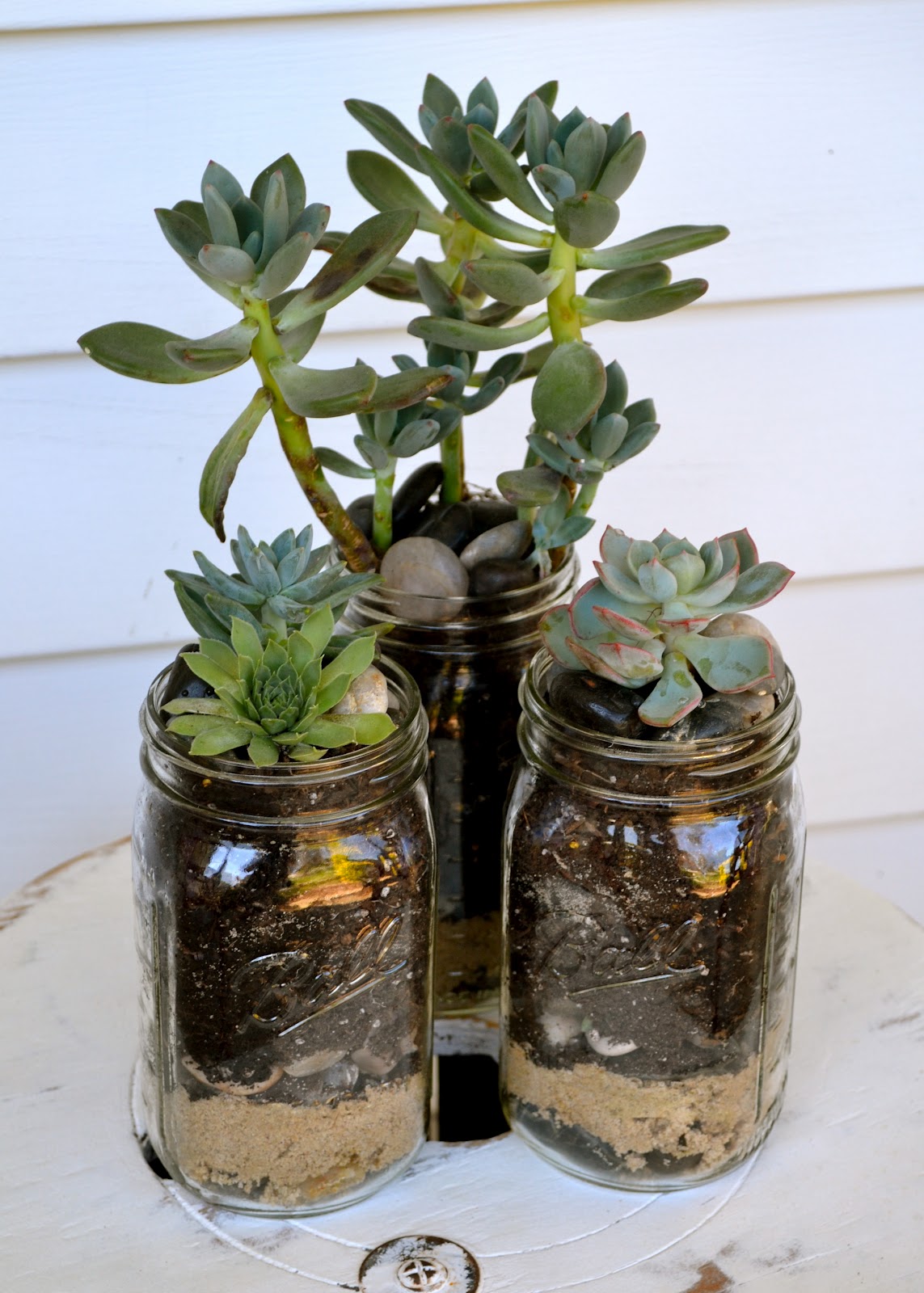 The Domestic Doozie Mason Jar Succulent Planters