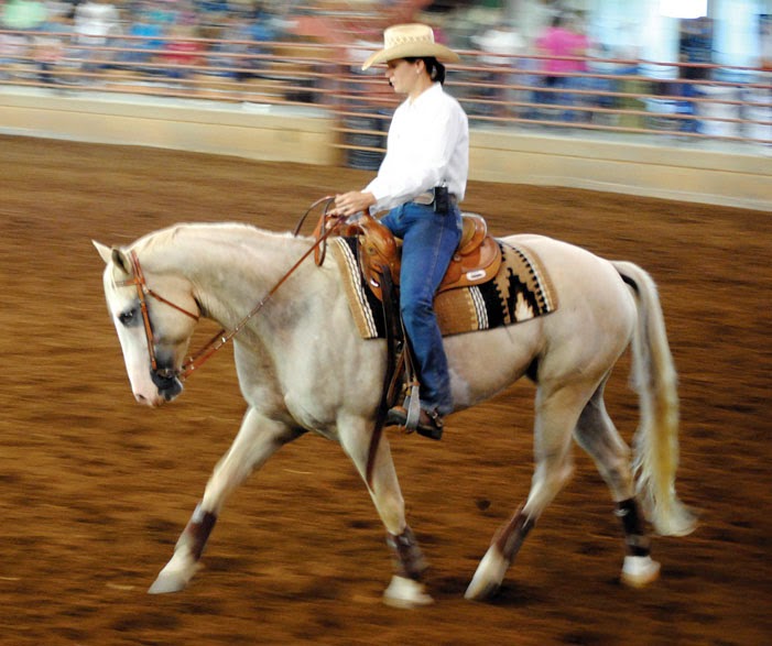 Horse Properties & Horse Keeping in Minnesota ReAnna Stables Dressage