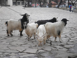 Bansko, Bulgaria, 2011