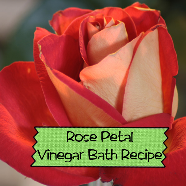 DIY Rose Petal Vinegar Bath Recipe Everything Pretty