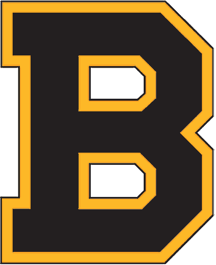 Boston Bruins Logos Boston Bruins Logos