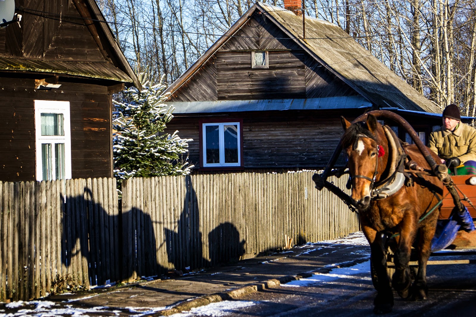 Gwiazdka w Puszczy - Ania w Podróży