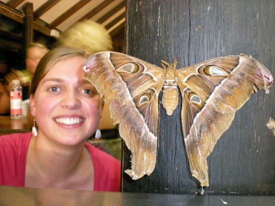 comparison death of a moth dillard and woolf View compare and contrast from eng 105 at north south university 1 compare and contrast annie dillard, the author of death of a moth, virginia woolf, the. comparison death of a moth dillard and woolf View compare and contrast from eng 105 at north south university 1 compare and contrast annie dillard, the author of death of a moth, virginia woolf, the.