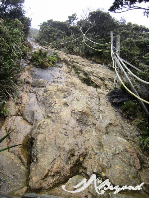 Mt Kinabalu trail, mt kinabalu difficulty, trail of kota kinabalu, trail of mt kinabalu, mt kinabalu rocks