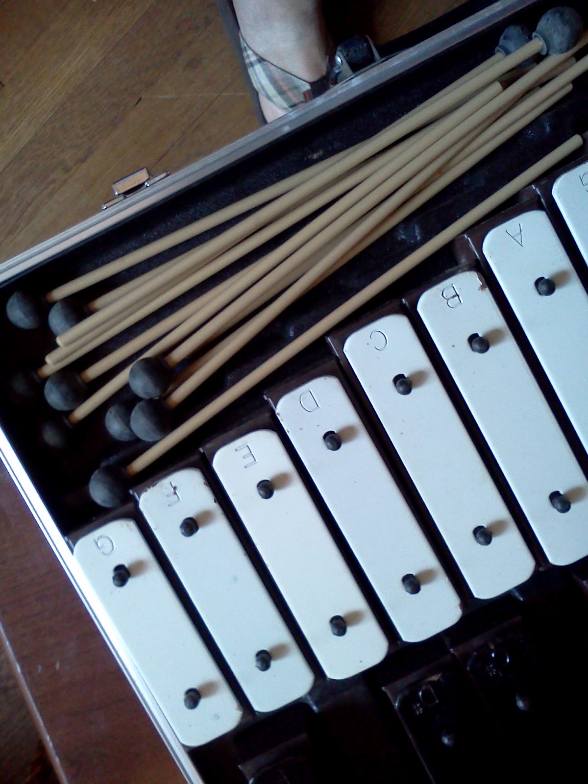 Maryland House Antiques Vintage musical instruments