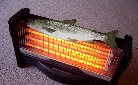 fish+on+a+heater.bmp