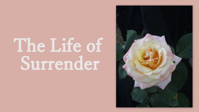 The Life of Surrender