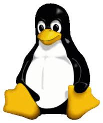 Problemas con kernel 3.8 en Ubuntu 13.04 Problemas con kernel 3.8 en Ubuntu 13.04, humor, gracioso