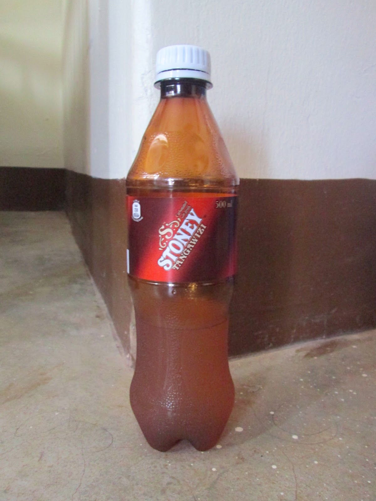 The Next Step Unique Ugandan Treats