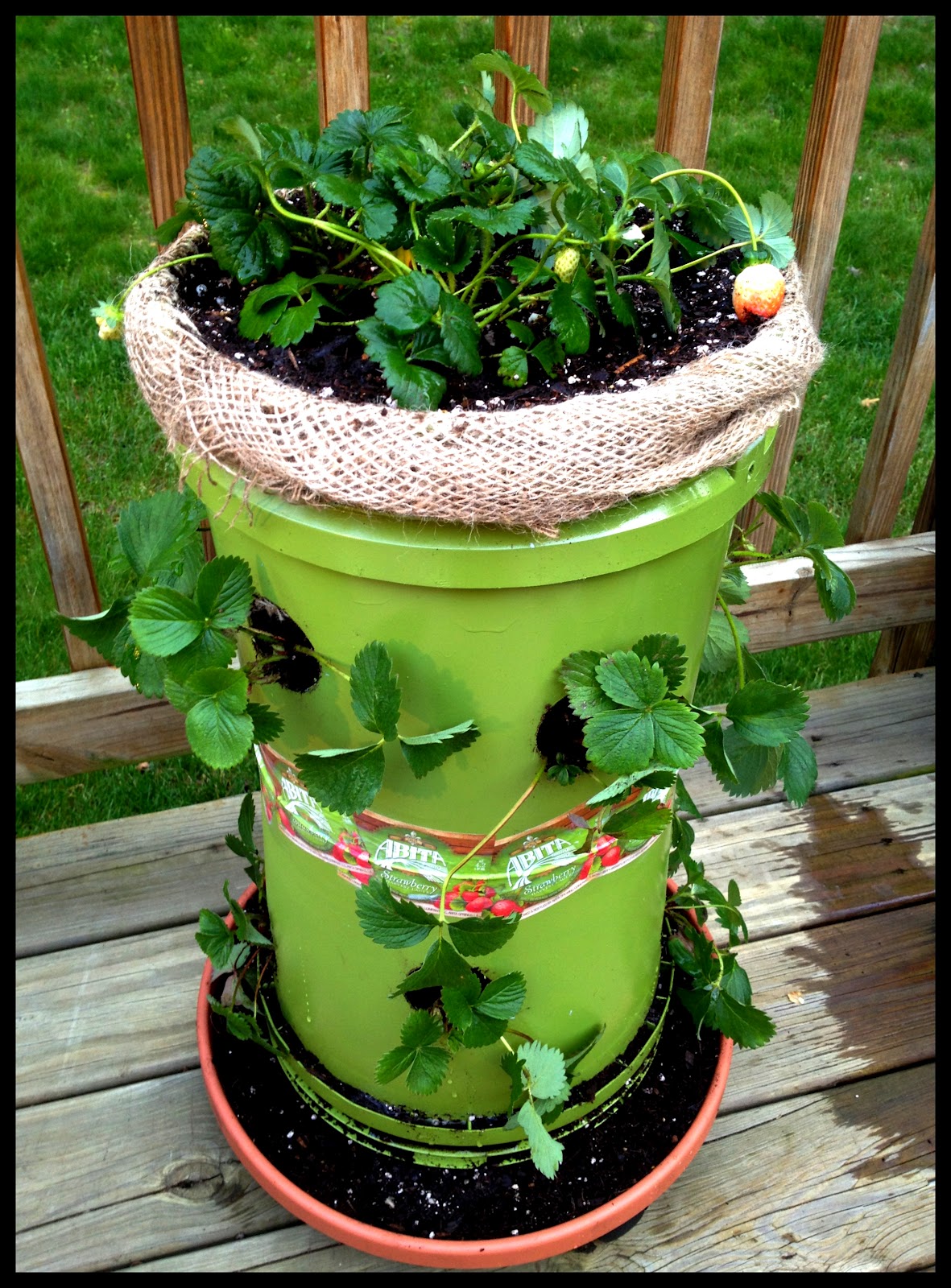 Courtney's Bathtub Gin How to Build Your Own Strawberry Tower