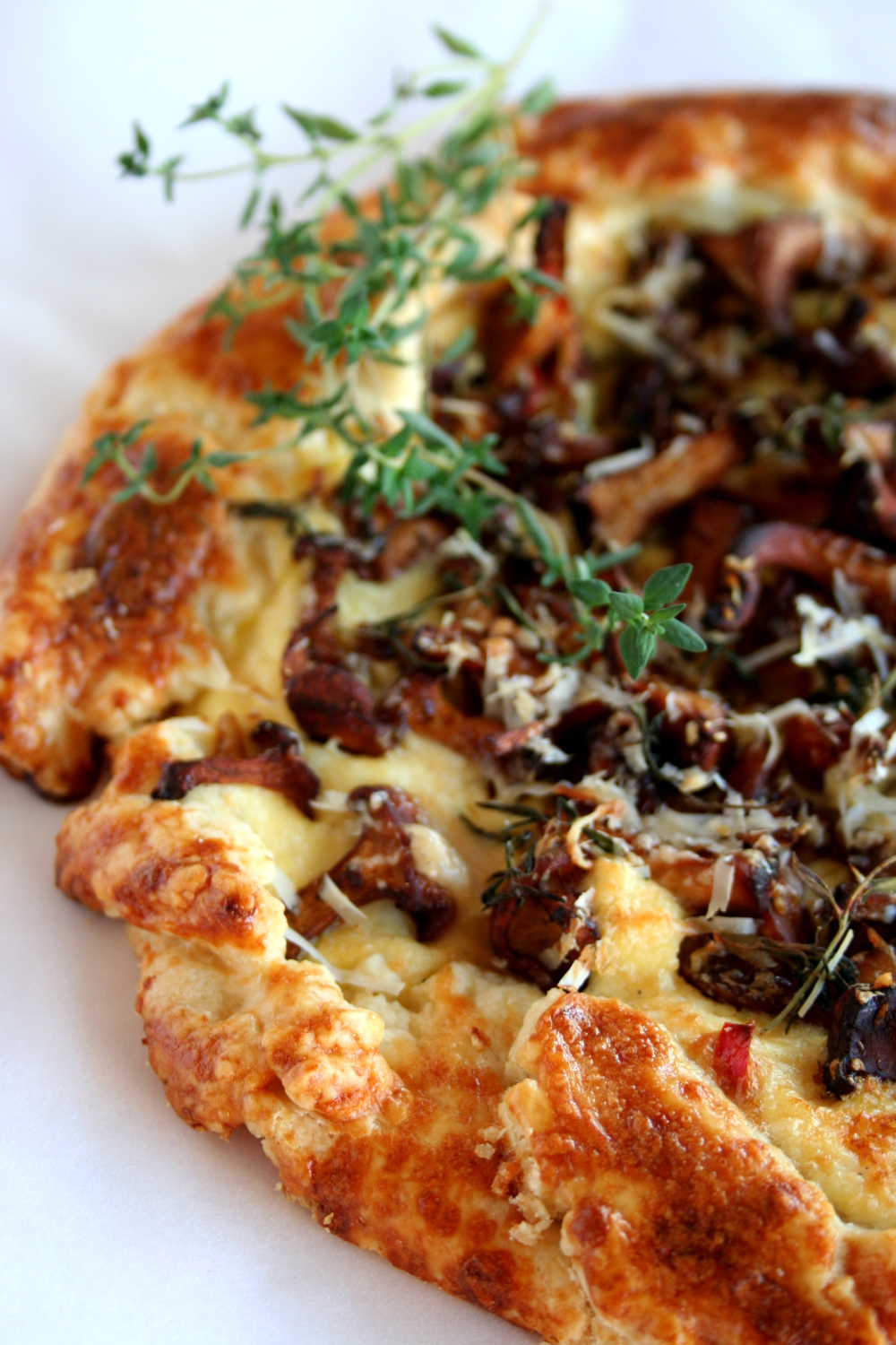Must Try recipes mushroom ricotta tart