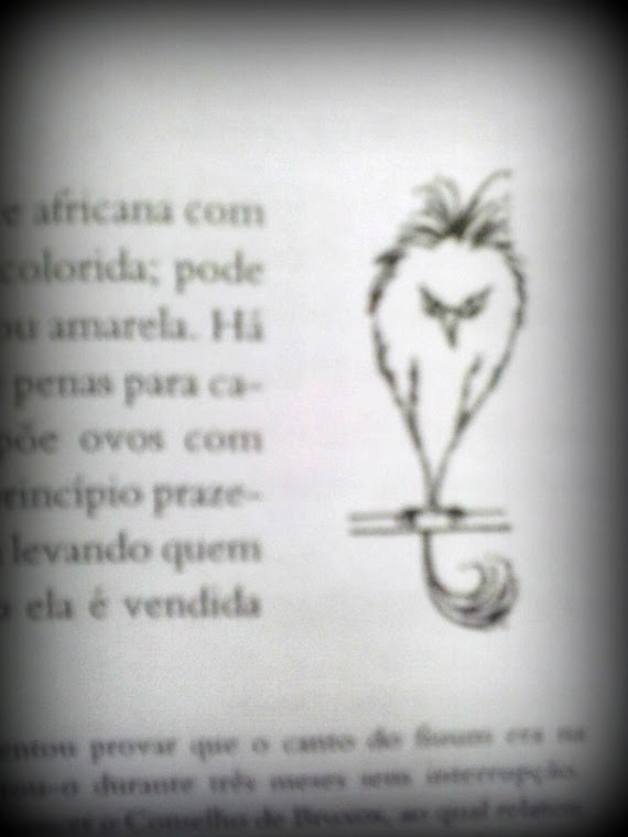 Frases Animais Fantásticos E Onde Habitam 2