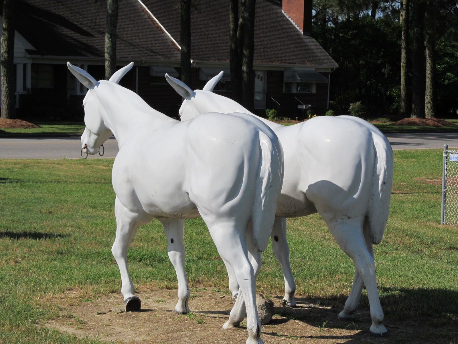 The Simple Life Fiberglass Art Close to Home